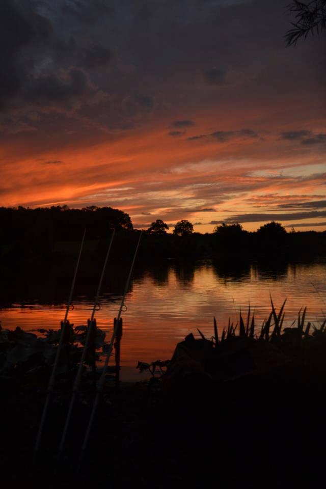 ::::::::- LIKE -:::::: - 19893545096338859472712942186n.jpg